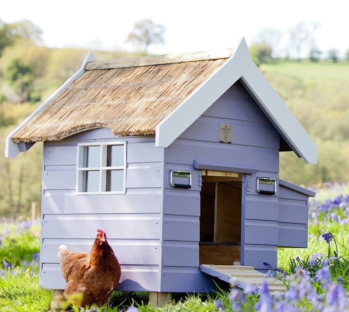 19+ Chicken Roosting Coops Ideas for Your Inspiration
