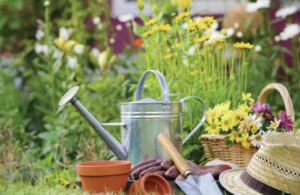 5 Fantastic Low Maintenance Features for the Lazy Gardener