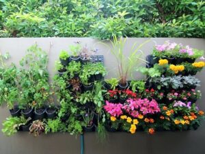 10+ Best Vertical Gardening Ideas That Are Easy To Achieve and Look Great!